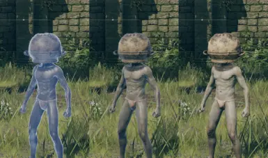 Vanilla / Reduced / Removed