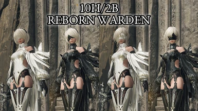 10H 2B Reborn Warden (full pyhsics and weapons)