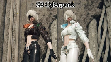 2B Cyberpunk