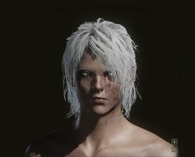 Female and Male Character Presets
