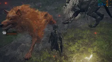 Lon wolfs