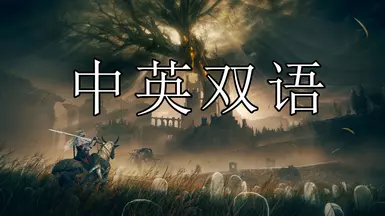 Dual Chinese-English Subtitles Support for DLC