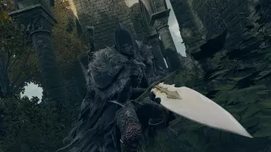Two-handed Dragonbone Sword over Knight Greatsword