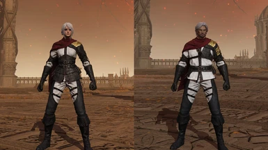 Leather Set Recolor