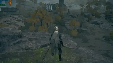 Remove Grass , Remove shadows ,low LOD,No rain No tree animation