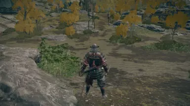 Removed Shadows + Grass