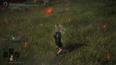 Health Bars Damage