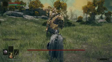 Boss Health Bar