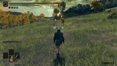 Enemy Health Bar