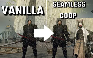 Elden Save Copy - Transfer
