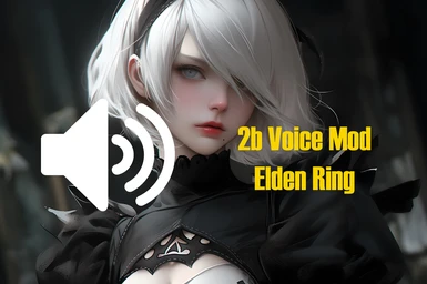 2b Voice Mod