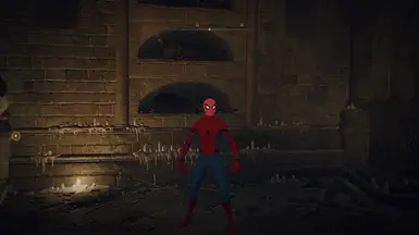 Spiderman cosplay (MCU)