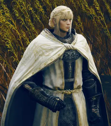 Alternate version - Circlet of Life