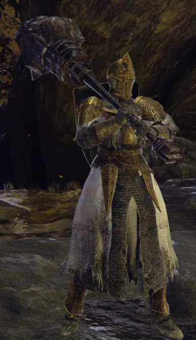 Apparel of Leeroy - Paladin of the Catacombs at Elden Ring Nexus - Mods ...