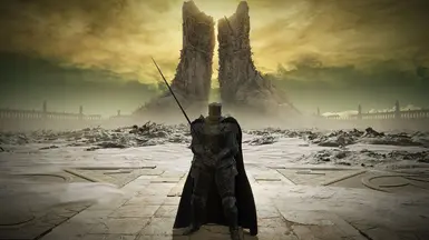 Save File After Finishing DLC Ready to NG Plus (Seamless Coop)