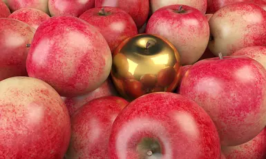 One Nice Golden Apple