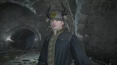 Bull horns