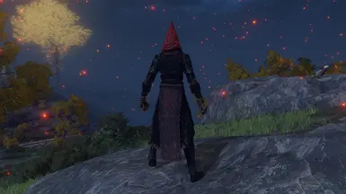 Fire Knight Armor (Altered) and Weapons - BACK
