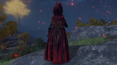 Salza's Hood and Fire Knight Armor and Weapons - BACK
