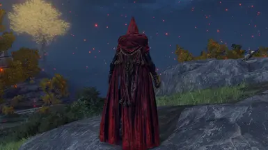 Fire Knight Armor and Weapons - BACK