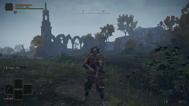 Arrow Tracking