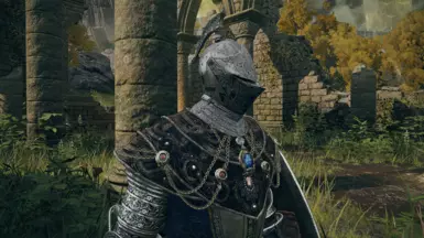 Carian Oathseeker