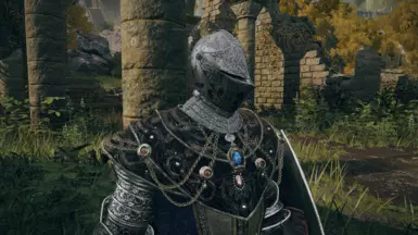 No Ornament