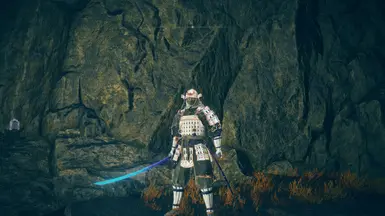 White Copper Lands of Reeds Armor