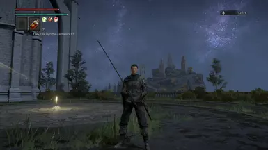 Perfectly compatible with Bloodborne UI Remastered!