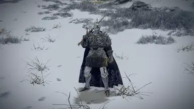 Warsmith Uefrun(Tank)