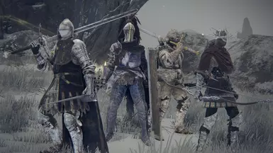Fallen Knights(Fodder)