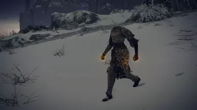 The Soul of Frenzy(Lord Aspirant)