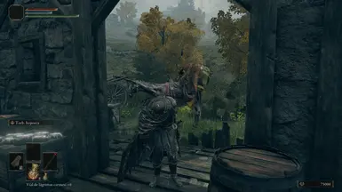 Reeds Wanderer meets friend