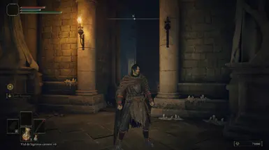 Tatsumaru Lone Wanderer
