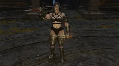 thigh armor