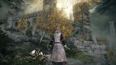Improved Elden Ring