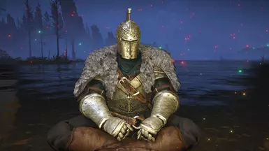 Lion Knight Faraam