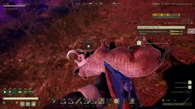 v1.0.0