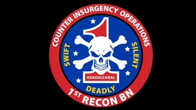 COIN - Counter Insurgency Operations