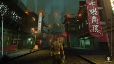 Vampire The Masquerade - Bloodlines Unofficial Patch at Vampire: The  Masquerade - Bloodlines Nexus - Mods and community