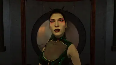 Vampire: The Masquerade - Bloodlines GAME MOD Res Patcher v.5022017 -  download