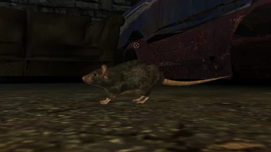Rats replacement (useless but cute)