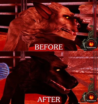 werewolf before after 2