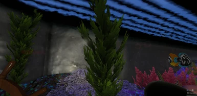 Better seaweed (with new fish textures)