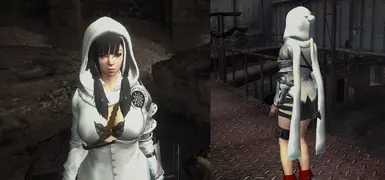 Arisha Vindictus for use with trainer