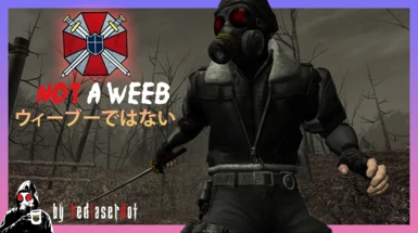 Not a Weeb (RE4 UHD)