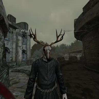 2.1: Beta Zealot Skin with bloody skulls (cleaner skull now a separate pak mod)