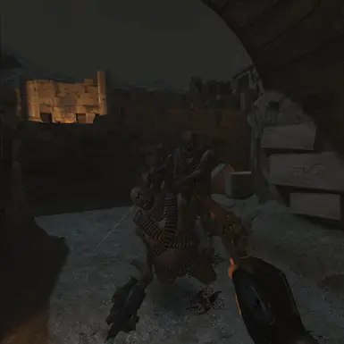 JJ galore