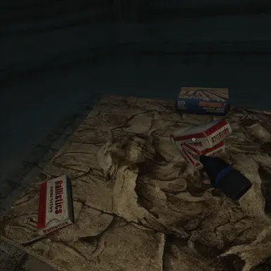 so much ammo to pick up you don't even know what to do anymore!