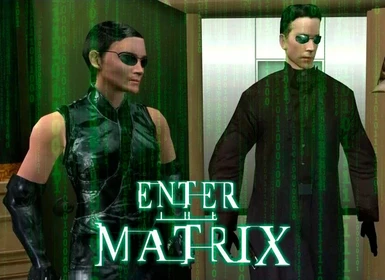 Enter The Matrix - Neo and Trinity Mod